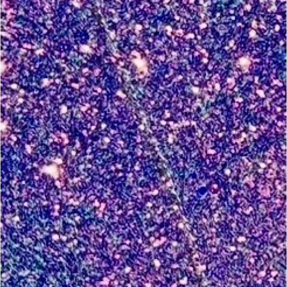 MARDI GRAS Southern Fried Chics - High Vibin' Glitter Me Purple Boots - Size 8 - Picture 3 of 4